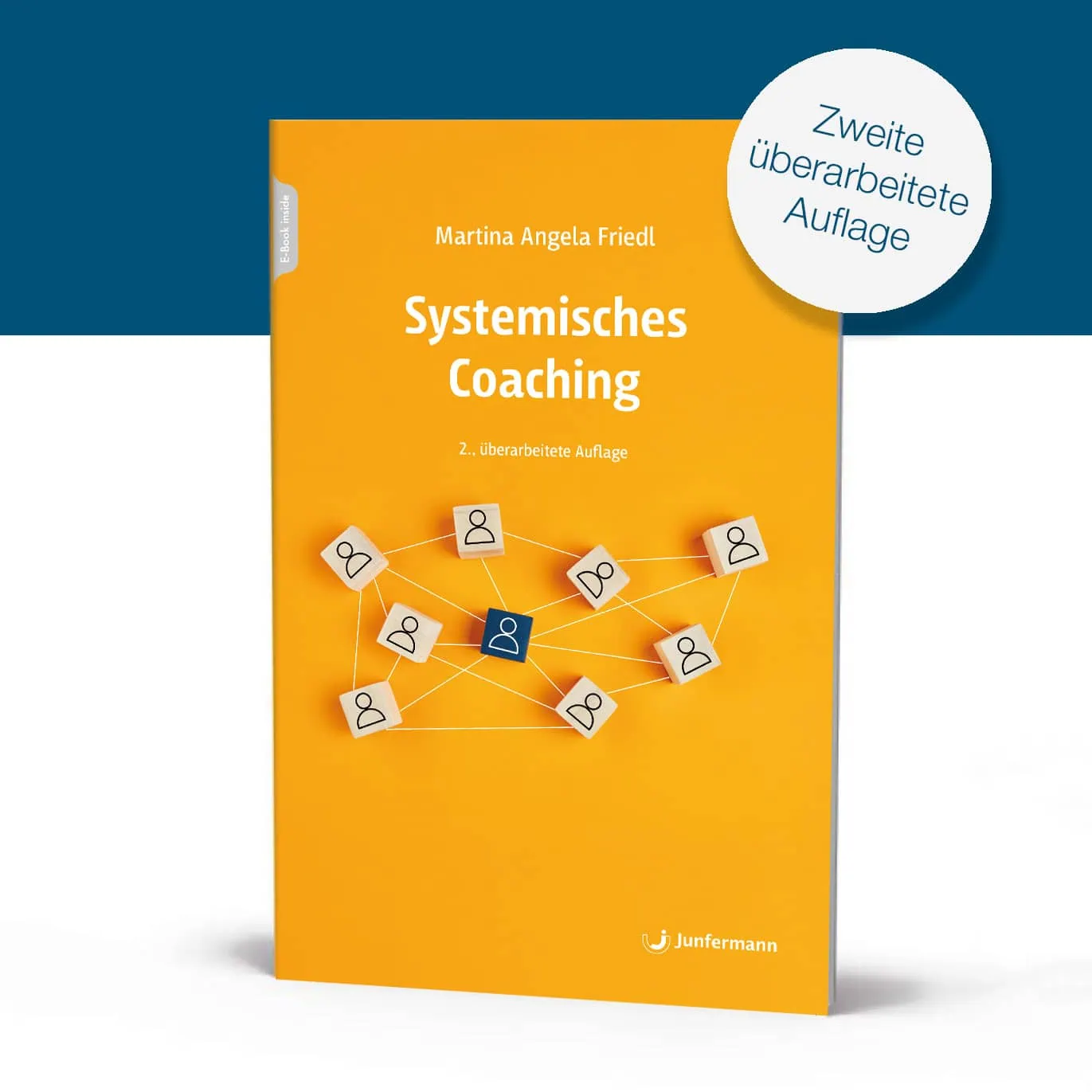 Systemisches-Coaching-2-Auflage-Buch-Methoden-Instrumente-Anleitungen-Dr-Martina-Friedl
