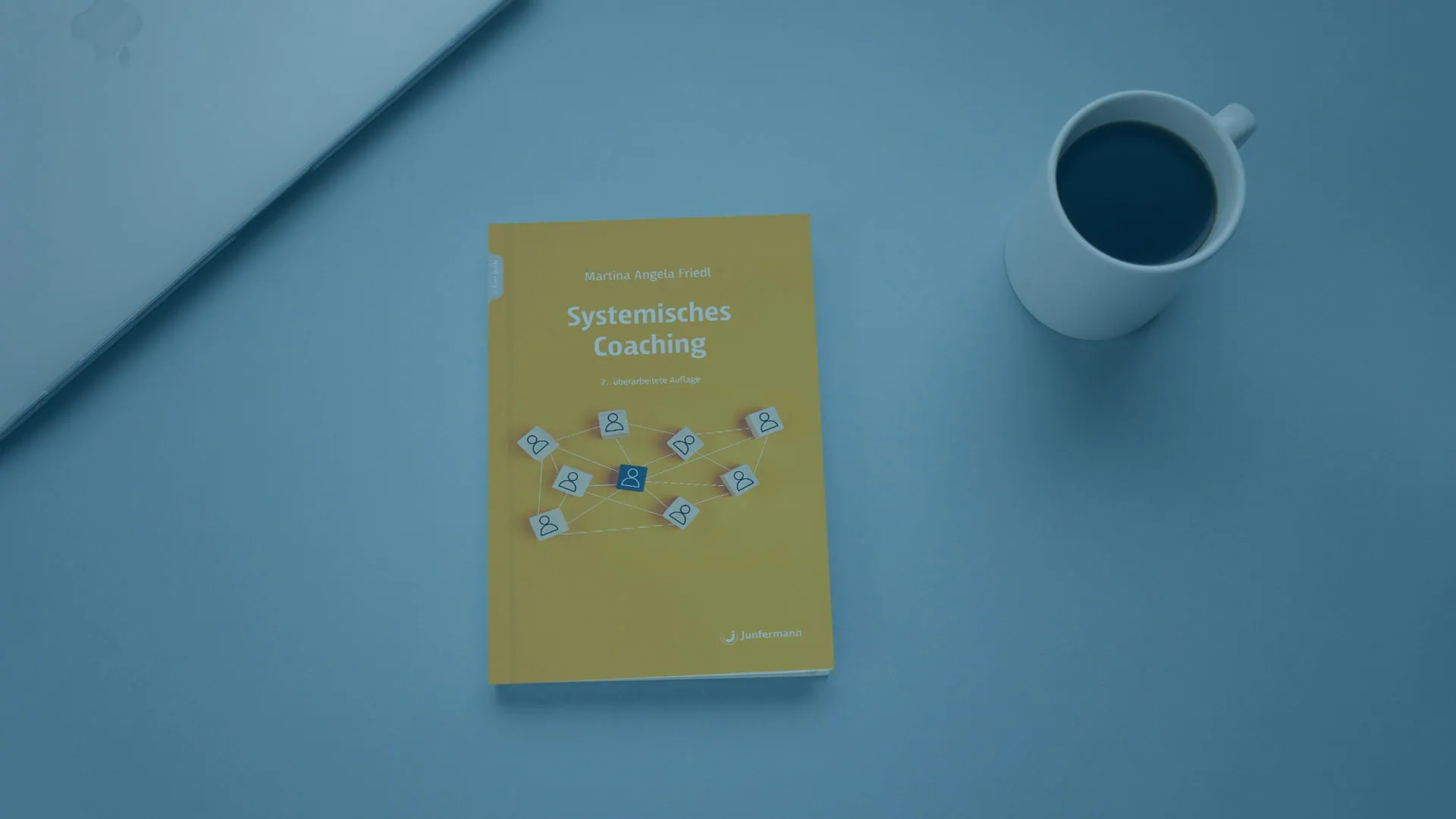 Systemisches-Coaching-Sachbuch-2-Auflage-Dr-Martina-Friedl_Overlay